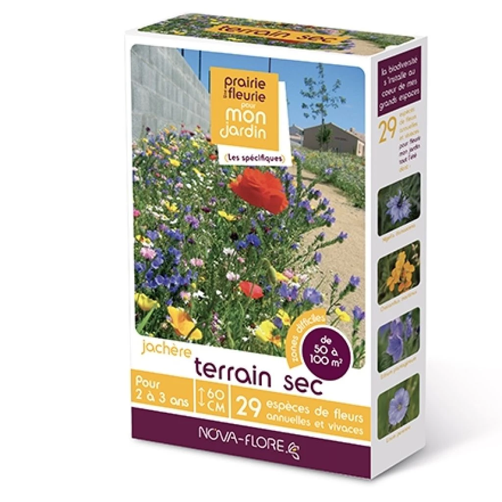 Jachère Terrain Sec 3 Jachère Terrain Sec