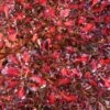 Coprosma Pacific Sunset 1 Coprosma Pacific Sunset -Naturelle Boutique Coprosma repens Pacific Sunset 88790 1