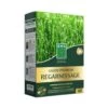 Gazon Premium Regarnissage - Semences Enrobées - BHS -Naturelle Boutique Gazon premium regarnissage Semences enrobees IF 17053 1