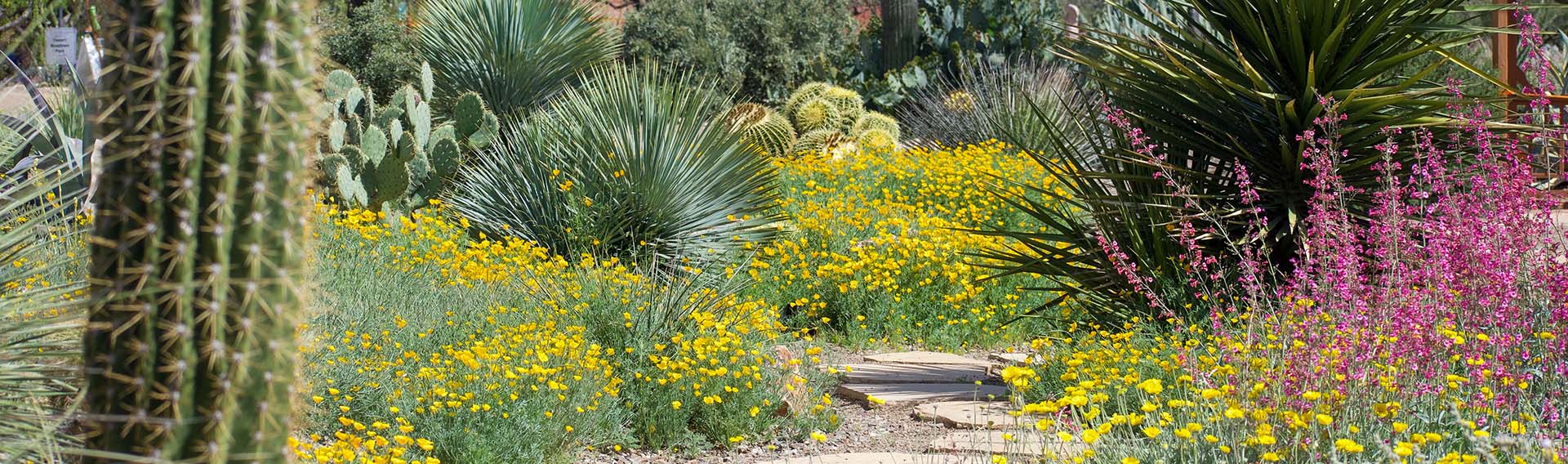 Devant -Naturelle Boutique banner952